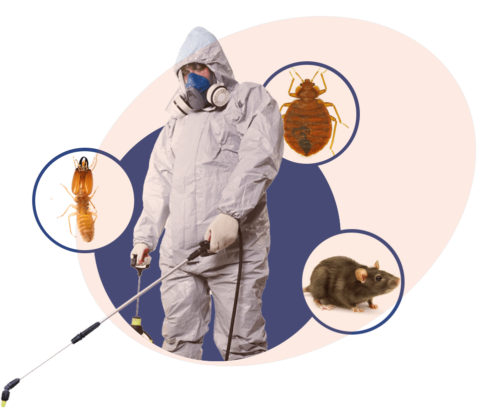 Ayahygiene